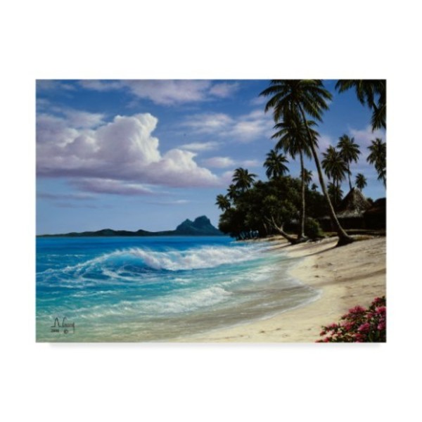 Trademark Fine Art Anthony Casay 'Tropical Beach' Canvas Art, 35x47 ALI20309-C3547GG